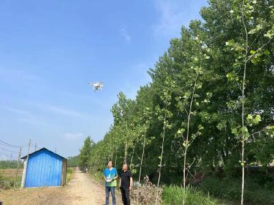 浩口镇：“空中巡查+地面宣导”推进秸秆禁烧工作