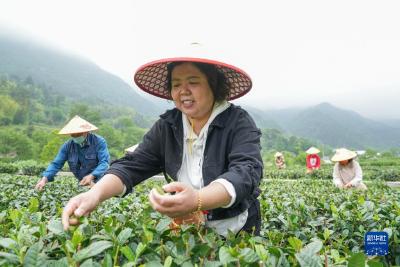 守“绿”换“金”！大别山区“两山”实践创新基地观察