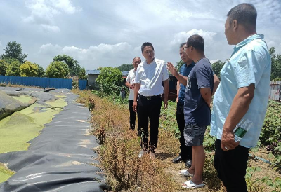 渔洋镇开展党员干部下基层察民情解民忧暖民心实践活动