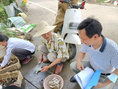 渔洋镇卫生院开展大走访活动