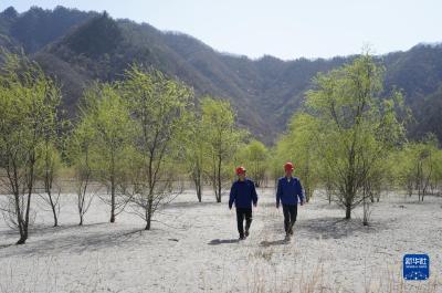 全媒头条丨再访秦岭 感受日异月殊的深刻变化