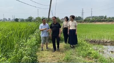 泽口街道：盘活闲置资产 打通村级致富脉络