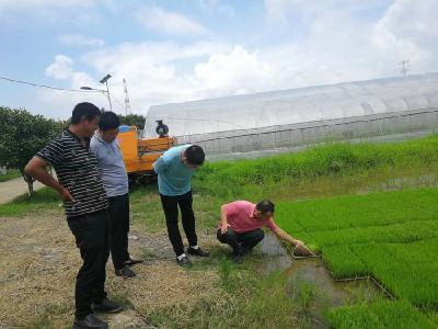 市农业农村局开展下基层察民情解民忧暖民心实践活动