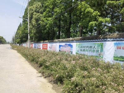 杨市街道：紧盯问题抓整改 推动创文工作取得实效