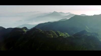 感人瞬间微视频展播 | 你就是旗帜