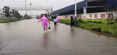 泽口街道雨中排险保安全