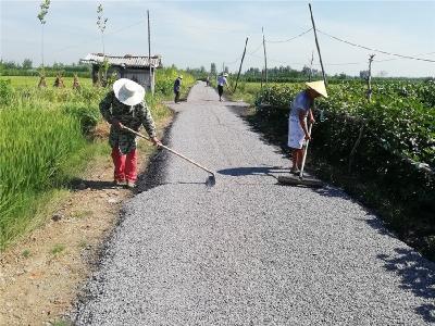 总口管理区：修建田间道路 便利村民出行