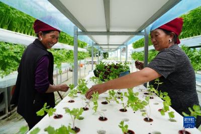 奋进新征程 建功新时代·非凡十年｜四川：在新征程上奋力谱写治蜀兴川新篇章 