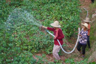 “用好每一滴水！”——直击湖南特旱地区抗旱救灾一线 