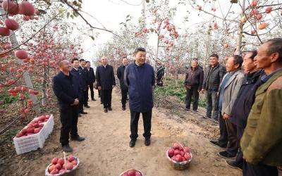 第一观察｜读懂习近平总书记二十大后首次出京活动的深意