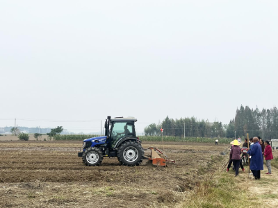 潜江：全方位抓好粮食生产 夯实粮食安全根基