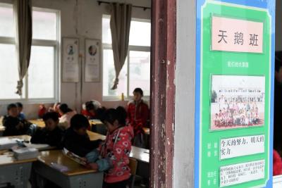 东方白鹳班、白鹭班……安徽一乡村小学开设湿地大课堂