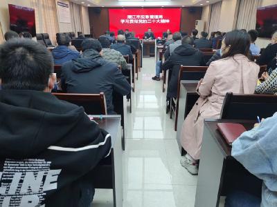 市应急管理局召开专题会议学习贯彻党的二十大精神