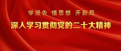 老新镇多措并举掀起学习宣传贯彻党的二十大精神热潮