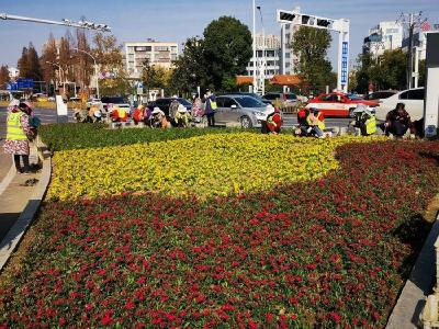 以花映城！潜江庆元旦、迎新年氛围浓