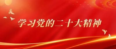 国家统计局潜江调查队召开党的二十大精神宣讲报告会