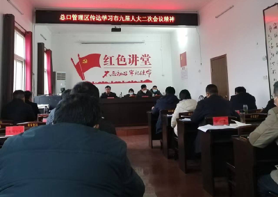 总口管理区传达学习市九届人大二次会议精神