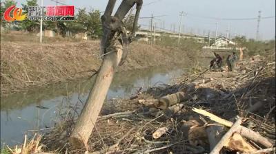 浩口：唱响“共同缔造”最美乐章