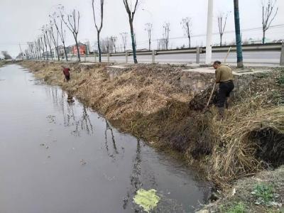 高场街道：三强三促“清四乱” 扮靓村庄高颜值