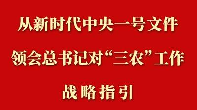 从新时代中央一号文件领会总书记对“三农”工作战略指引