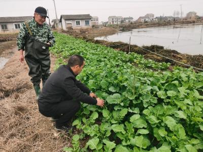 熊口镇：靠前监督解民忧 抢抓农时保春耕