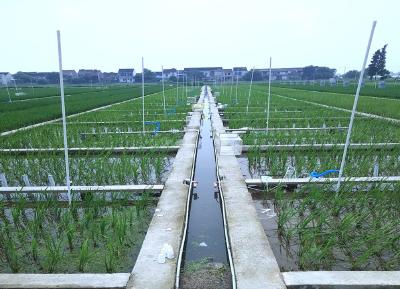 科学家提出粮食生产碳中和新路径