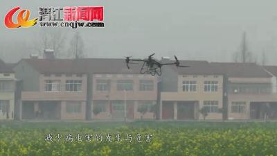  春耕春管正当时 高石碑无人机飞防助增收