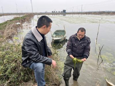 虾农遇难题 专家来献计