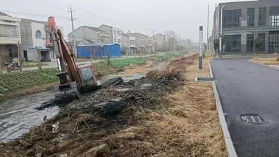 杨市街道：办好“新年第一事”迈好“履职第一步”