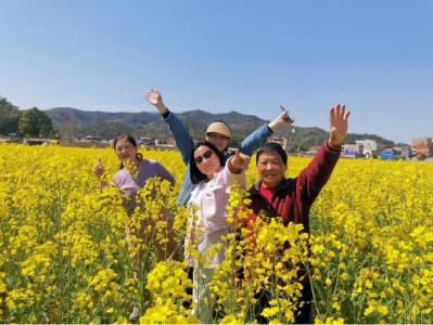 高桥村的乡村振兴成绩单