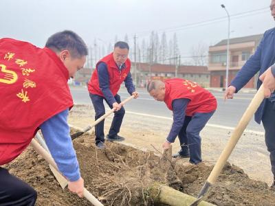 渔洋镇：义务植树助推“生态绿镇”建设