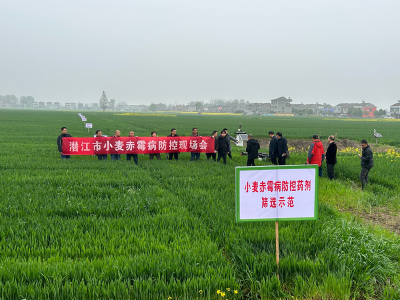 市农业农村局召开小麦病虫防控现场会