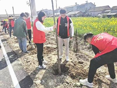 熊口镇开展植树添新绿暨学雷锋志愿服务活动