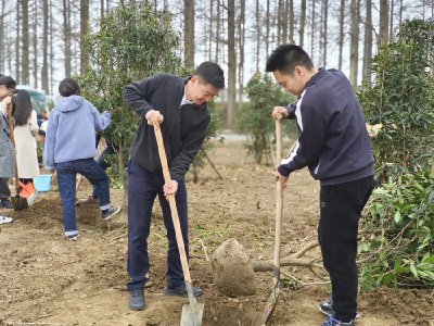 团市委组织开展义务植树活动