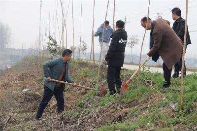 广华寺街道开展2023年义务植树活动