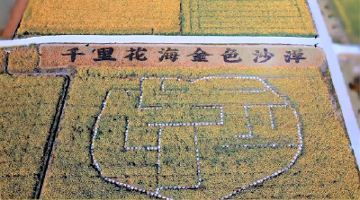#这里是湖北#叮！你有一条来自湖北的赏花邀请，请注意查收！