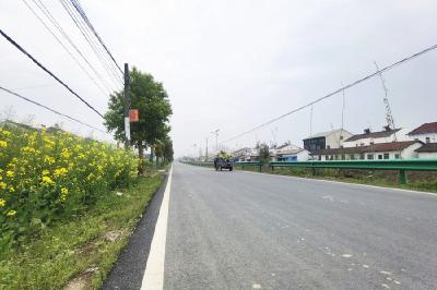 周矶街道：建好农村路 铺筑乡村振兴“快车道”