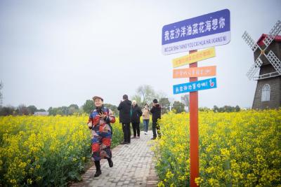 “赏花经济”激活旅游带富乡村——湖北旅游一线观察