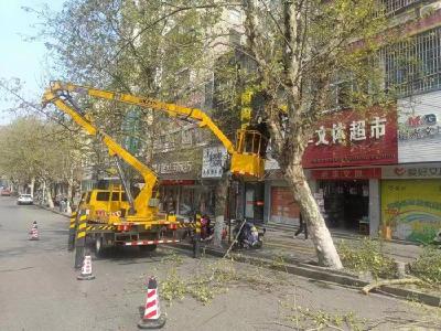 修剪树枝除隐患 营商环境再提升