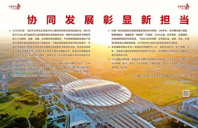 瞭望·治国理政纪事丨协同发展彰显新担当