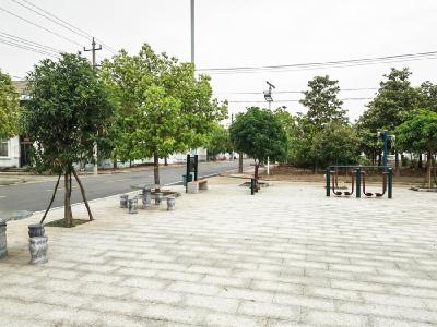 永乐村：党建引领促发展 共建美丽新家园