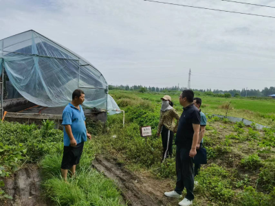 周矶街道积极开展禽畜安全生产和污染治理排查督办