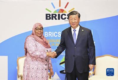 习近平会见坦桑尼亚总统哈桑