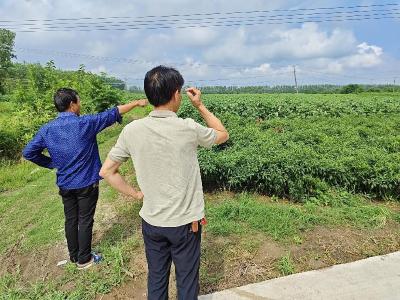 张金镇纪委：强化监督 确保惠民政策落实落地