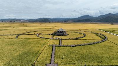 稻花香里说丰年丨丰收不止在物质获取还在精神获得