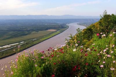 新时代中国调研行·黄河篇丨黄、绿、红三色看黄河沿岸变化