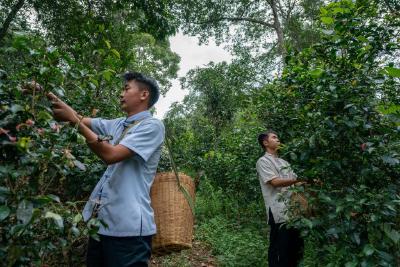 守护全人类共同的珍宝——世界遗产可持续发展的中国实践