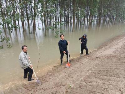 市农业农村局驻村工作队全力投入秋季防汛工作