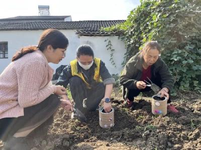 培树文明新风 共建美丽庭院