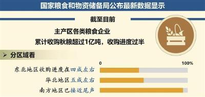 我国主产区粮企累计收购秋粮超1亿吨 完成进度过半